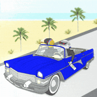 Summer Car GIF by Paft Drunk