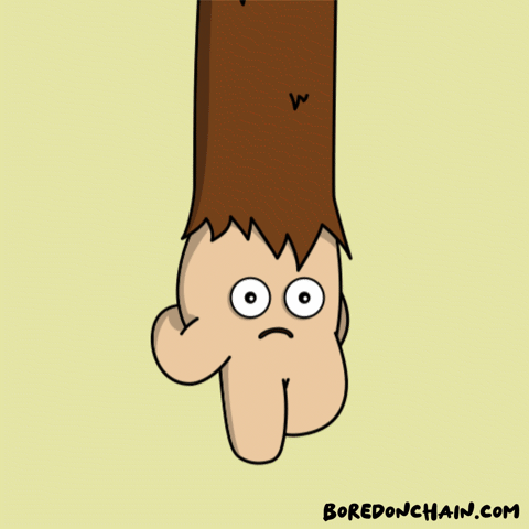 BoredOnChain giphyupload party rainbow crazy GIF