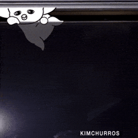 Party Hello GIF