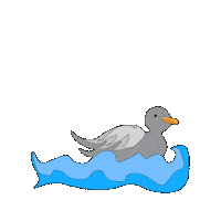 jesshardacreillustration water bird sea duck Sticker