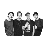 5 seconds of summer STICKER by imoji
