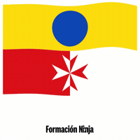 Flag Spain GIF by Formación Ninja