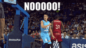 liga endesa what GIF by ACB