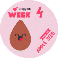 Apple Seed Baby Sticker by Preggers
