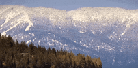 nevada GIF