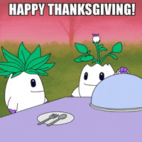 Thanksgiving Day Friends GIF by Magic Eden