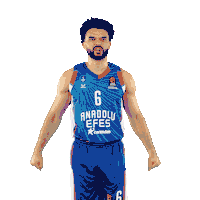 Basketball Celebration Sticker by Anadolu Efes SK