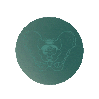 Pelvic Floor C-Section Sticker by Nancy Anderson Fit