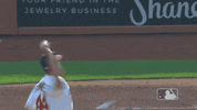 Major League Baseball Sport GIF by MLB