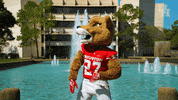 houstoncougars houston sasha gocoogs shasta GIF