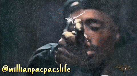 Willianpacpacslife GIF