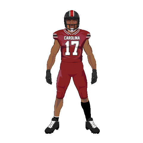 South Carolina Gamecocks Football Sticker by Panini America