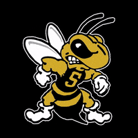 WVStateU yellowjackets stinger westvirginia wvsu GIF