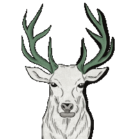 Deer Sticker