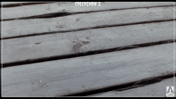 Stephen King Eww GIF by Arrow Video