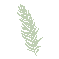 Illustration Plant Sticker