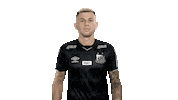 Santosfc Sticker by Santos Futebol Clube