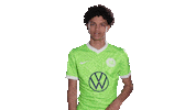 Check This Out Look Here Sticker by VfL Wolfsburg