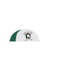 Magagolf Sticker by Metropolitan Amateur Golf Association