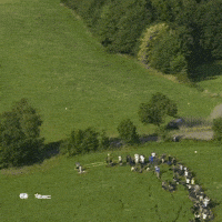 Crash Exit GIF by FIA European Rally Championship