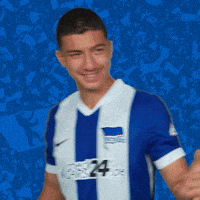 Auf Wiedersehen Soccer GIF by Hertha BSC