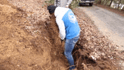 Trench Digging GIF by JC Property Professionals
