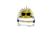 sun sunglasses Sticker by parafinaco