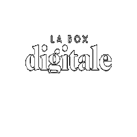 laboxdigitale marketing laboxdigitale boxdigitale camillemaeliss Sticker