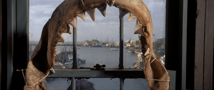 classic movies shark GIF by Coolidge Corner Theatre