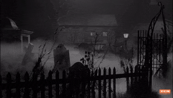 City Of The Dead Halloween GIF by Turner Classic Movies