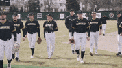 mkepanthers baseball college panthers milwaukee GIF