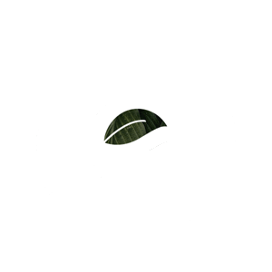 ecoduna giphyupload Sticker