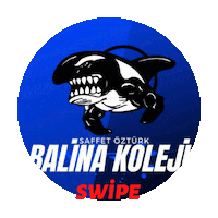 balinakoleji up swipe swipeup bk Sticker