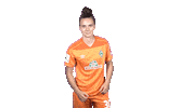 Emotion Keeper Sticker by SV Werder Bremen