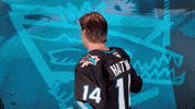Check It Out San Jose GIF by San Jose Barracuda