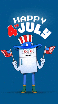 American Usa GIF by Nexio