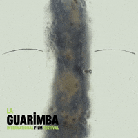 Who Knows Ok GIF by La Guarimba Film Festival