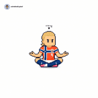 Norway Viking GIF