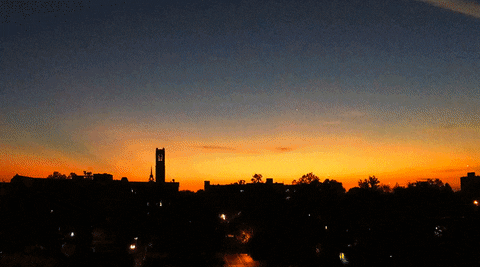 good morning sunrise GIF by University of Florida