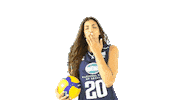 HellenicVolleyballFederation volleyballgr vlachaki Sticker