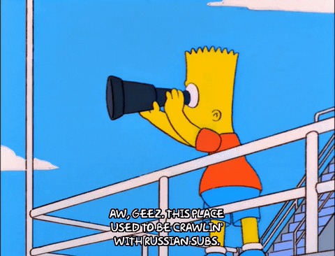 bart simpson episode 20 GIF