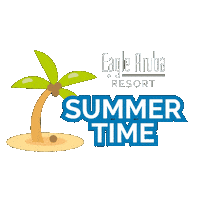 EagleAruba doubledownsportsbargrill uncletonyspizza eaglearubaresort summerateaglearubaresort Sticker