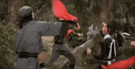 martial arts fight GIF by Shaw Brothers