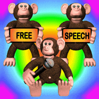 Free Speech Democracy GIF