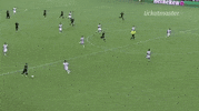 soccer mls GIF by D.C. United