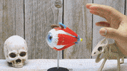 Eye Lego GIF by Cookingfunny