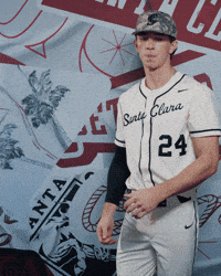 Bronco Baseball GIF by Santa Clara Broncos