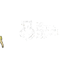 Womens Soccer Football Sticker by Women's Asian Cup 2026