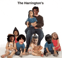 Stranger Things Steve GIF