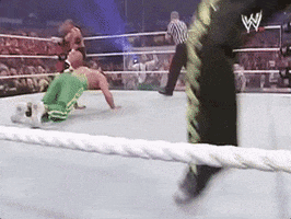 shawn michaels wrestling GIF by WWE
